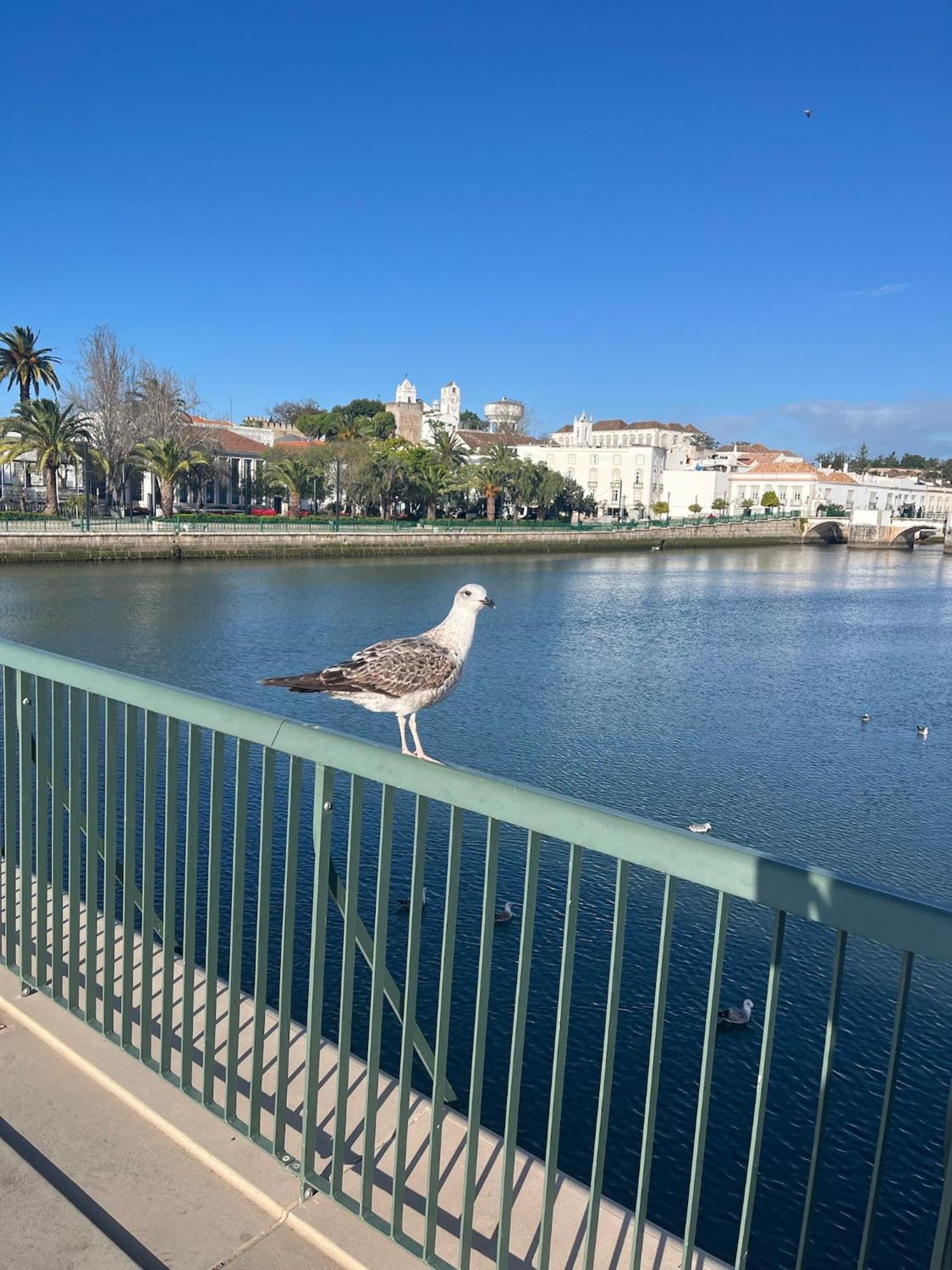 Stylish Townhouse With Gallery In The Heart Of Tavira For Two Bagian luar foto